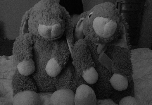 Adventures of Little Grey & Brownie Foot